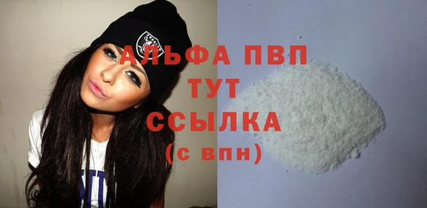ешки Новодвинск