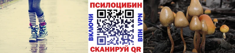 Псилоцибиновые грибы прущие грибы  mega ссылка  Питкяранта 